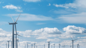 IRS establishes program to allocate solar and wind capacity limitation